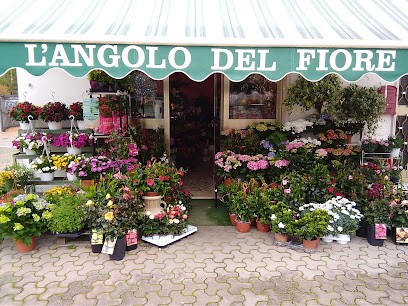 L'angolo Del Fiore, Fiorista a Sulmona