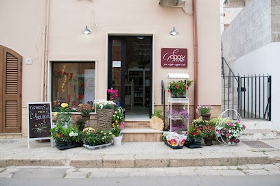 Caos Eventi/Sannicola, Fiorista a Sannicola