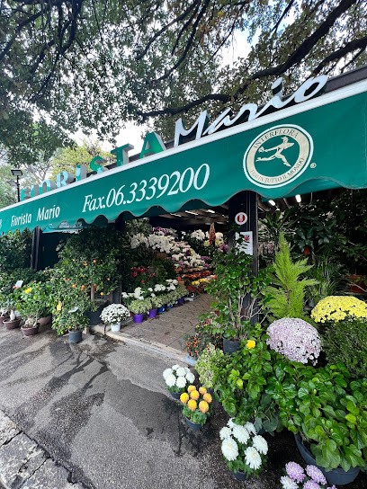 Mario Al Fleming, Fiorista a Roma