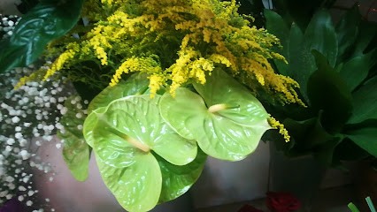 L'Angolo Del Verde Rutigliano Ruggiero, Fiorista a Barletta