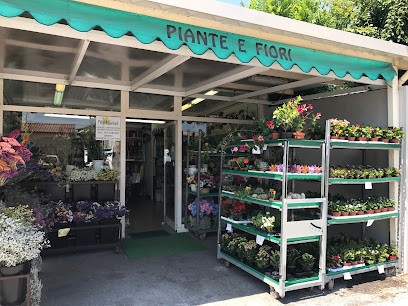 Fiorista Flor Market Di Formicola Loredana, Fiorista a Osimo