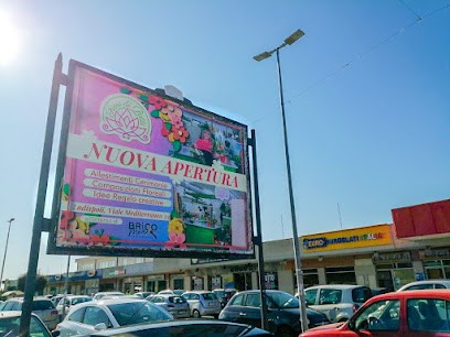 Fiori di Patti, Fiorista a Ladispoli