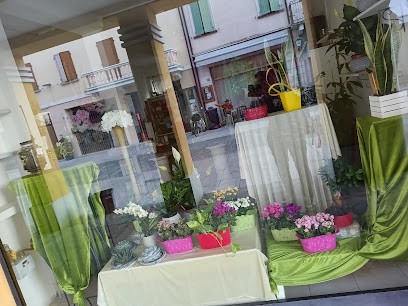 Fioreria Mimosa Di Rossi Ketty, Fiorista a Fabbrico