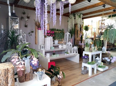 Melflowers, Fiorista a Cilavegna