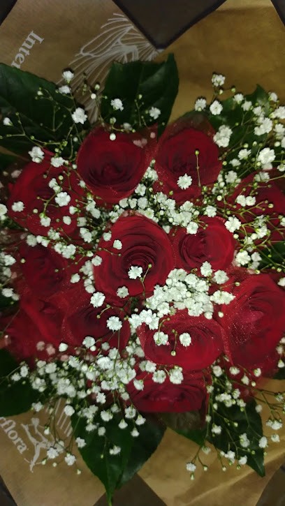 Costanza Vincenzo, Fiorista a Lauria