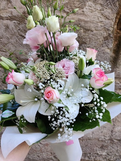 Fioraio Maragno, Fiorista a Matera