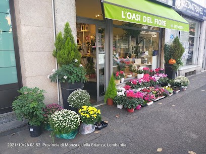 L'Oasi del Fiore - Seregno, Fiorista a Seregno