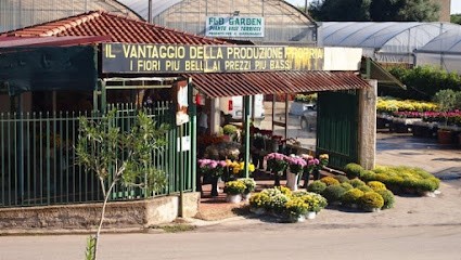 Azienda Floricola Flo Garden Casa Del Fiore Di Casa Concetto, Fiorista a Floridia