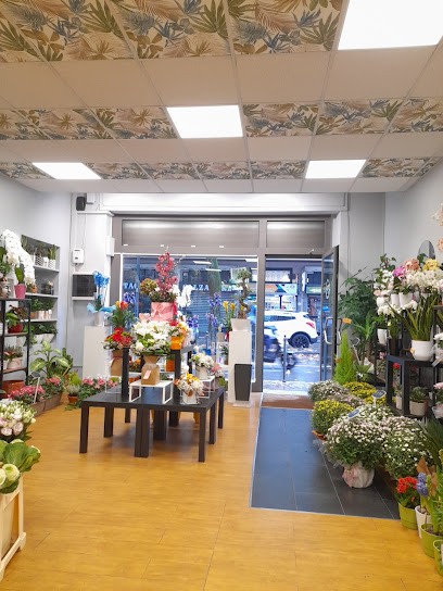 GF FIORERIA, Fiorista a Seveso