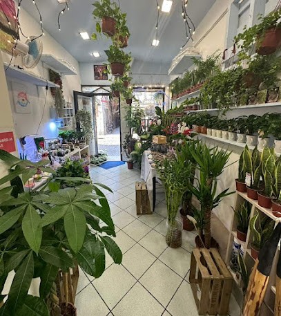 LE PIANTE DI ANDREA, Fiorista a Chioggia