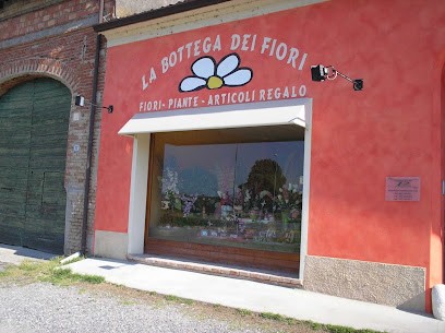 LA BOTTEGA DEI FIORI di Zambelli Daniela, Fiorista a Ostiano