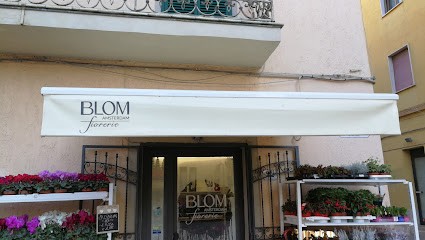 Blom Amsterdam Fiorerie Orbetello, Fiorista a Orbetello