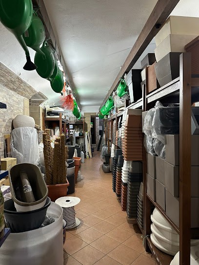 L'Angolo Fiorito Di Buia Rosario Ed Agostino Francesca, Fiorista a Napoli