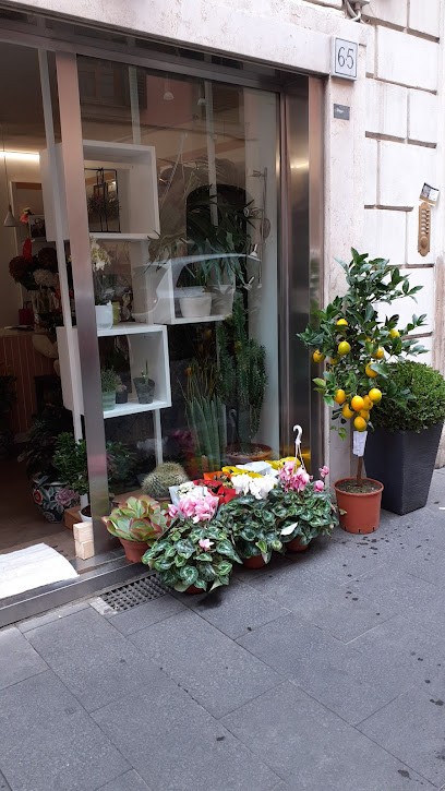 L'ARTE DEL FIORE DI ANDREA LAGHI SAS, Fiorista a Roma