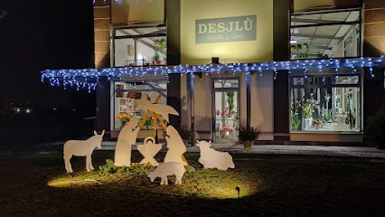 desjlù piante e fiori, Fiorista a Calderara di Reno