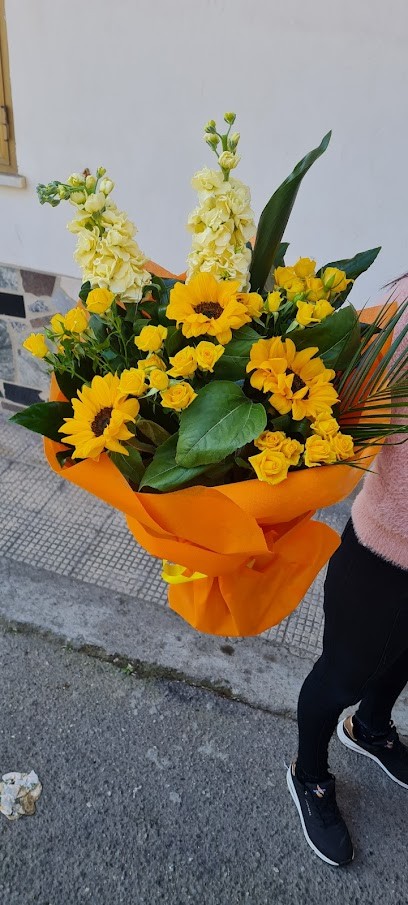 Arcobaleno Di Vignola Salvatore, Fiorista a Gioia Tauro