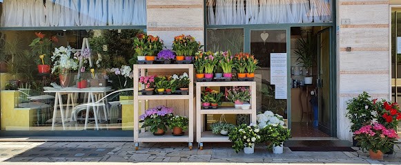 La Serra - Servizio a Domicilio di Fiori e Piante ad Aprilia e Dintorni, Fiorista a Aprilia