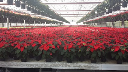 Floraddeo, Fiorista a Marzano di Nola