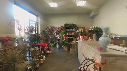 Teramo In Fiore, Fiorista a Teramo