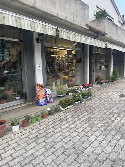L'Angolo Verde, Fiorista a Treviso