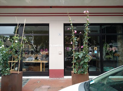 Flowers Gorizia, Fiorista a Gorizia