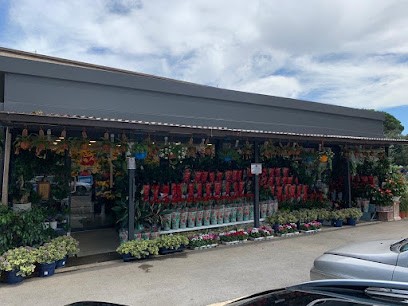 PALOCCO FIORI, Fiorista a Roma