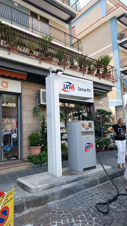 Il Fiore Di Savarese Lucio, Fiorista a Meta