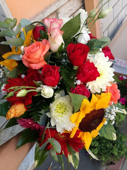 MOMENTI DI GIOIA Di DI GENNARO TERESA, Fiorista a Grazzanise