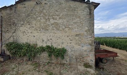 Grazzini Luca, Fiorista a Pistoia