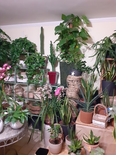 Orsini Rosamaria, Fiorista a Fontana Liri