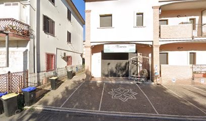 Antonucci Tania Fiorista, Fiorista a Frosinone