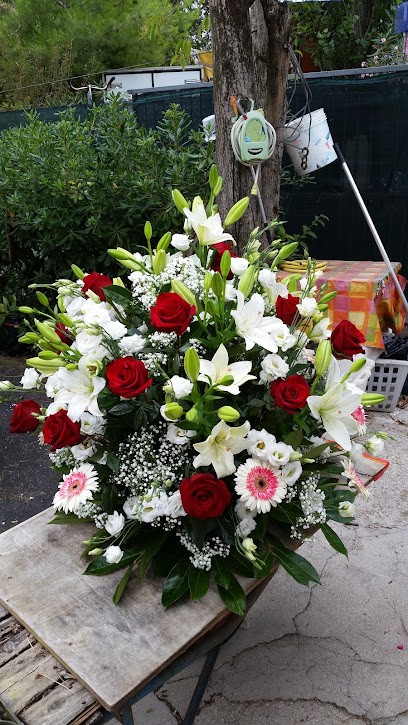 De Carli Carlo E F.lli SNC, Fiorista a Rimini