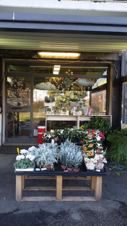 L'Altra Oasi, Fiorista a Sant'Ilario d'Enza