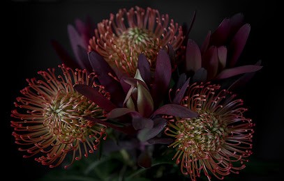 Fiorile Roma, Fiorista a Roma