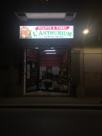 Piante E Fiori L' Anthurium Di Chiochia Rosaria, Fiorista a San Giorgio Ionico