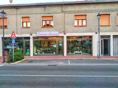 Fioreria Aurora Di Verzellesi Andrea, Fiorista a Boretto