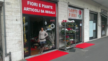L'Oasi Del Fiore Di Berti Alessandra, Fiorista a Grosseto