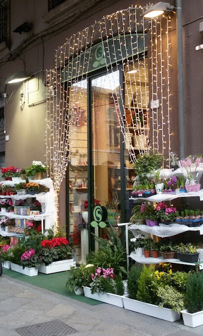 Sassi & Catellani S.n.c - La Farmacia Delle Piante, Fiorista a Reggio nell'Emilia