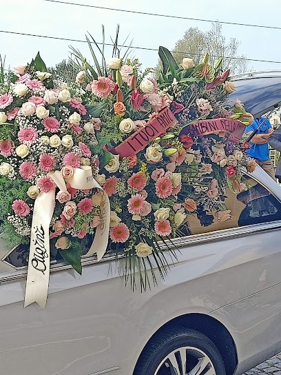 La Coccinella Di Chiola Lisa, Fiorista a Rocchetta Tanaro