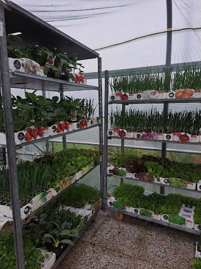 Az. Agr. Cassina, Fiorista a Fanano