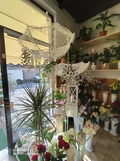 Fiorista Antonio L'angolo Fiorito, Fiorista a Massalengo