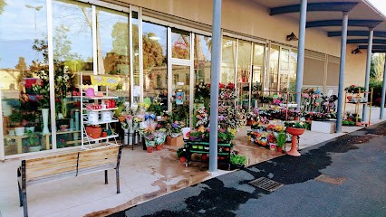 Melani Fiori Di Umberto E Aldo Melani Sas, Fiorista a Livorno