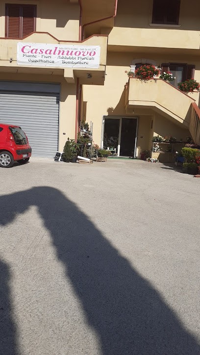 Casalnuovo Francesco, Fiorista a Buonabitacolo