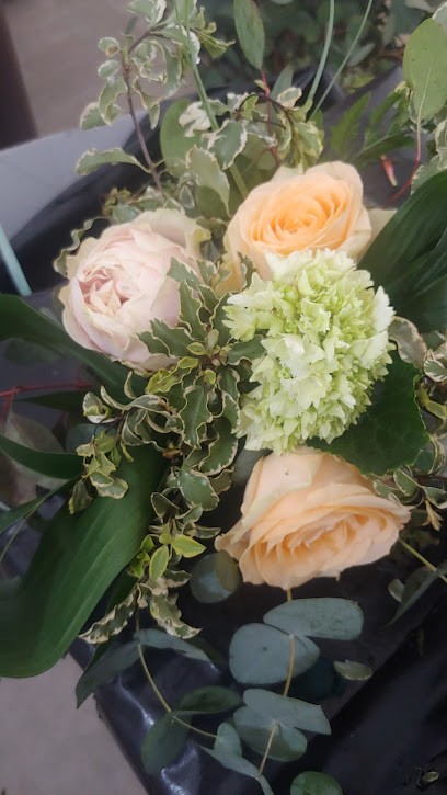 Dillo con un fiore, Fiorista a Alatri