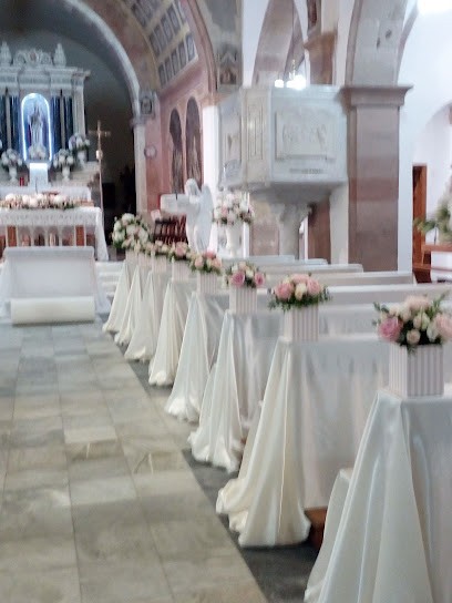 Piante E Fiori Di Cossu Giuseppe & C.S.A.S., Fiorista a Porto Torres