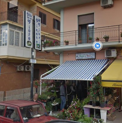 Dillo Con Un Fiore, Fiorista a Sessa Aurunca