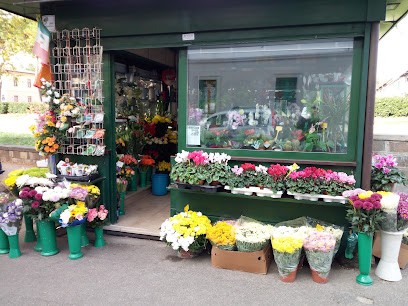 Piante E Fiori, Fiorista a Firenze