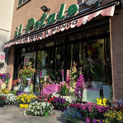 Il Petalo, Fiorista a Marino