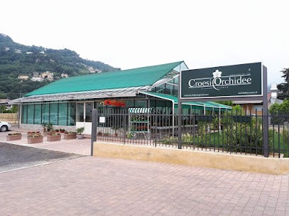 Croesi Orchidee, Fiorista a Camporosso