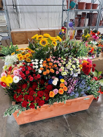 Giorgio Paganotto Floricoltura, Fiorista a Legnago